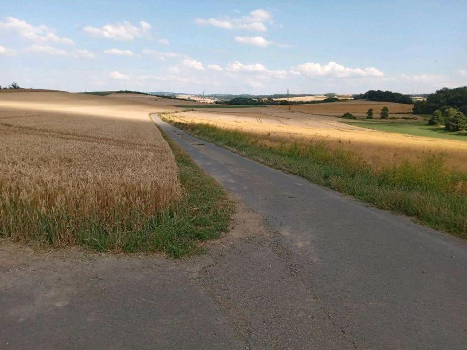 Ferienwohnung Ferienbauernhof Neumuehle Gappenach Exterior foto