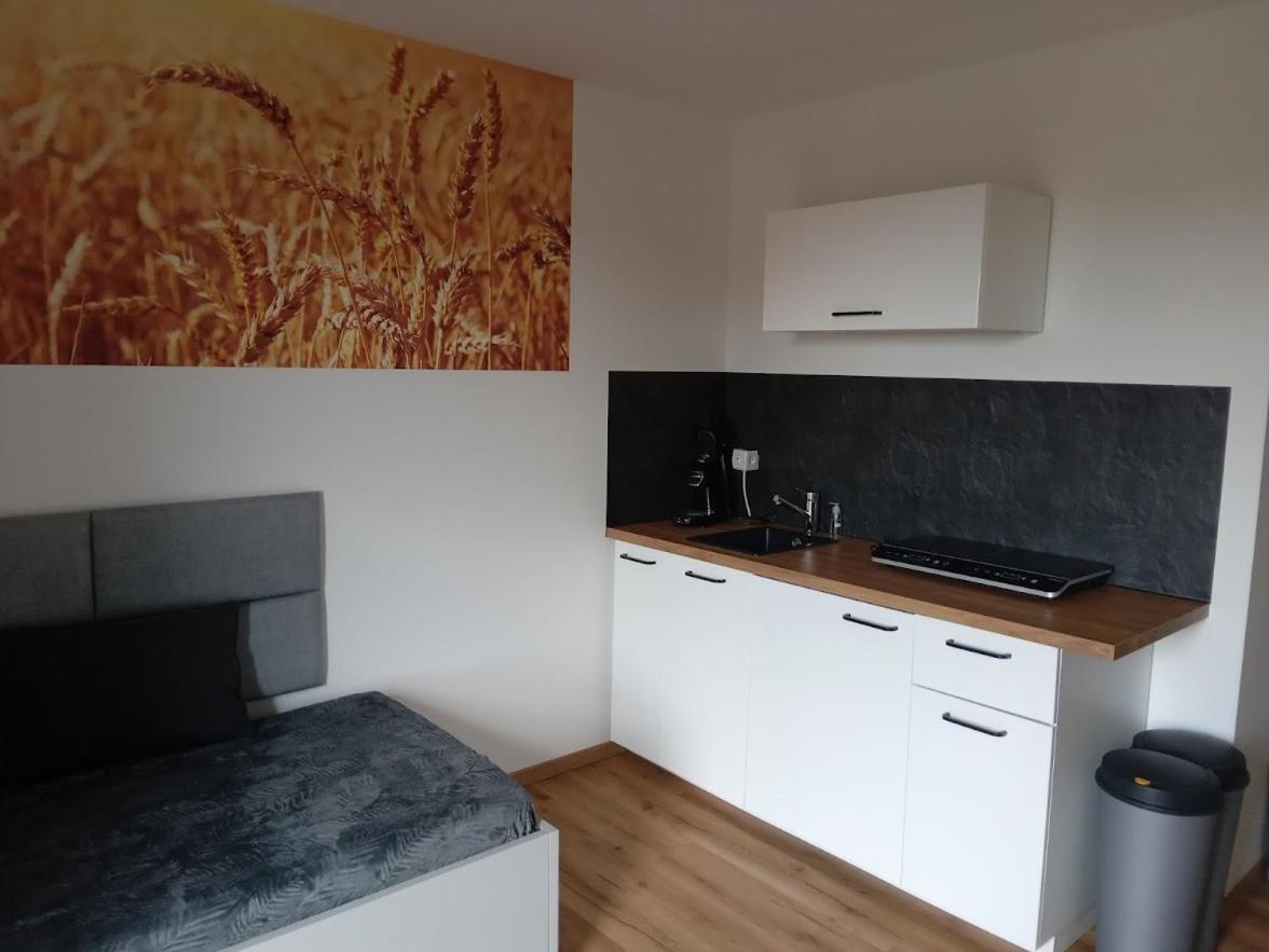 Ferienwohnung Ferienbauernhof Neumuehle Gappenach Exterior foto