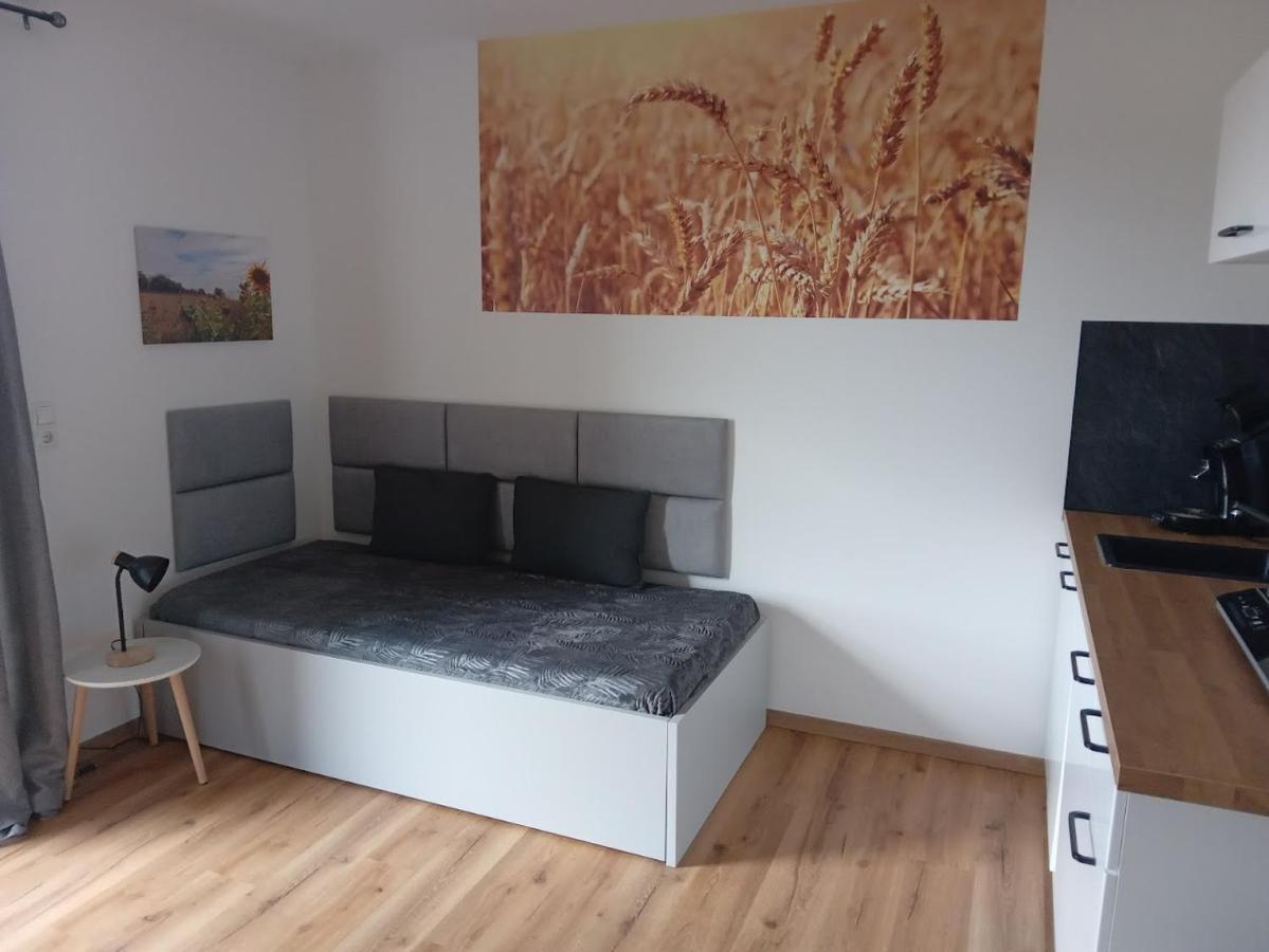 Ferienwohnung Ferienbauernhof Neumuehle Gappenach Exterior foto