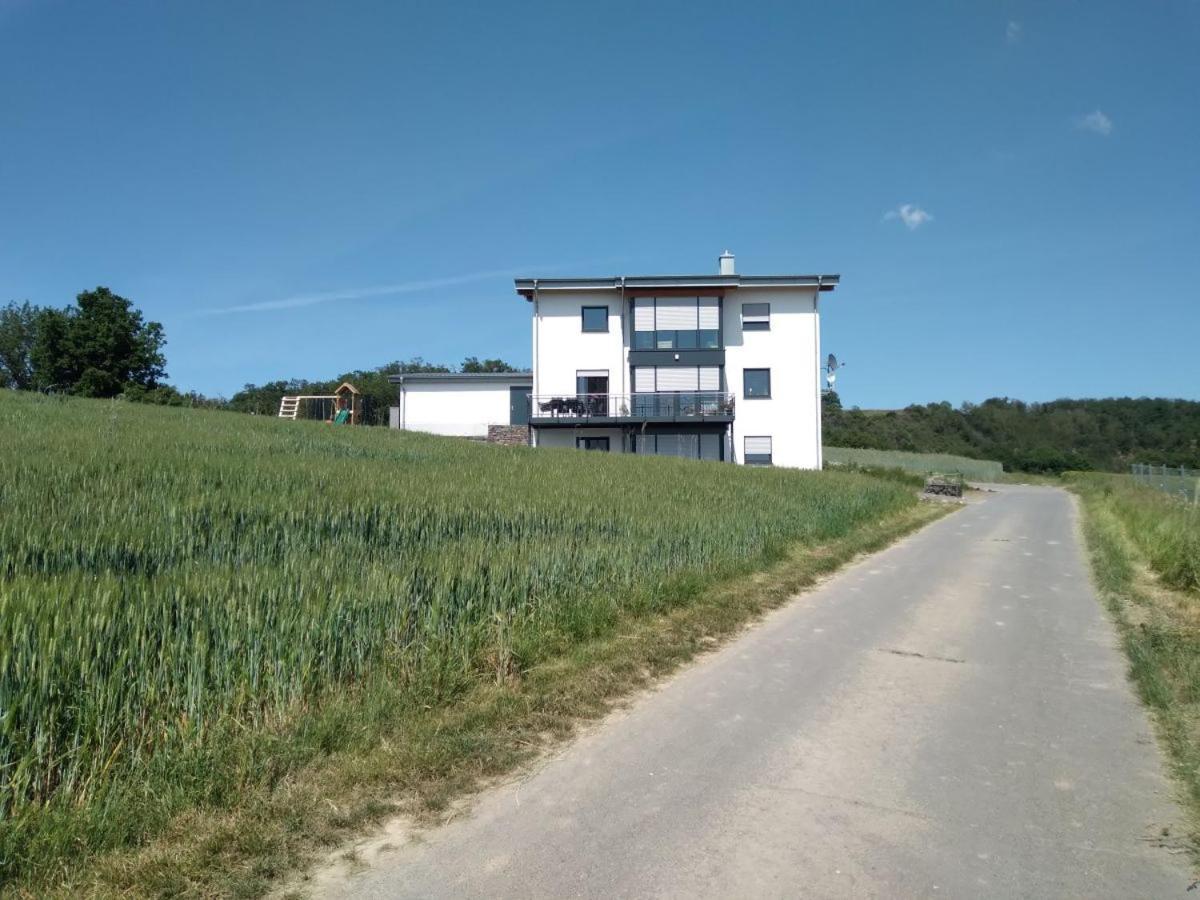 Ferienwohnung Ferienbauernhof Neumuehle Gappenach Exterior foto
